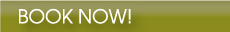 Chat Now CCSJ
